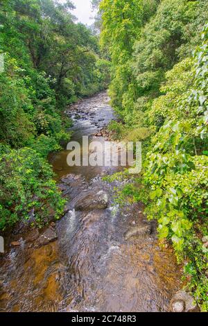 River, Sinharaja National Park Rain Forest, Sinharaja Forest Reserve, World Heritage Site, UNESCO, Biosphere Reserve, Sri Lanka Stock Photo