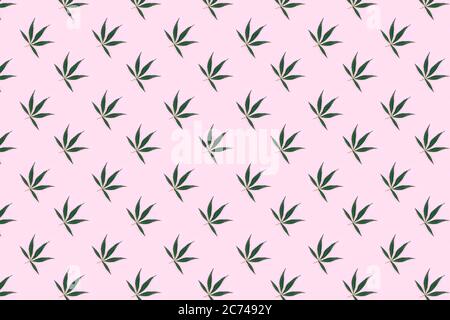 Beautiful pink pattern with hemp leaves. Background for packaging paper or printing on fabric. Stock Photo