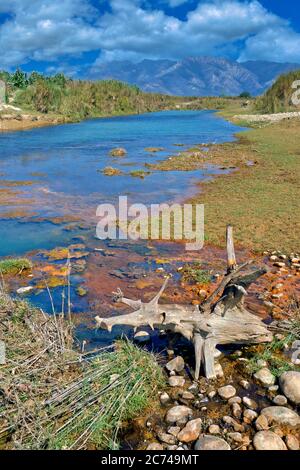 Babai River, Royal Bardia National Park, Bardiya National Park, Nepal, Asia Stock Photo