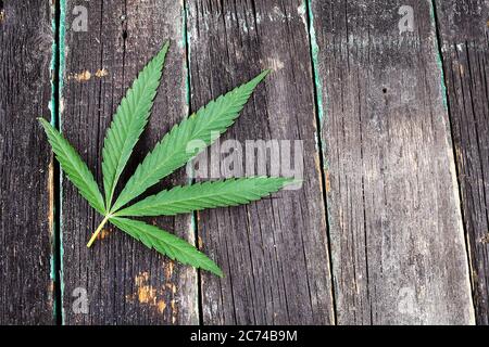 marijuana leaf on a wooden background, place for your text Stock Photo