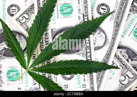 Cannabis leaves on dollar bills, top view, close-up Stock Photo