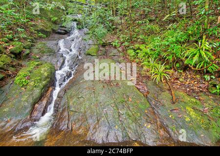 Waterfall, Sinharaja National Park Rain Forest, World Heritage Site, UNESCO, Biosphere Reserve, National Wilderness Area, Sri Lanka, Asia Stock Photo