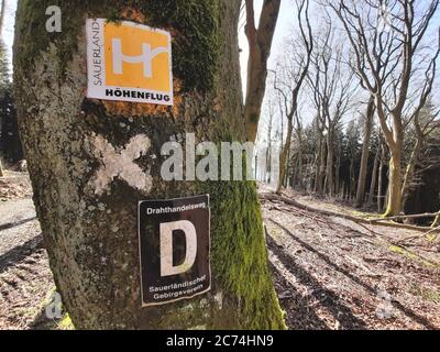hiking sign on a tree trunk, Sauerland Hoehenflug, Historischer Drahthandelsweg, Germany, North Rhine-Westphalia, Sauerland