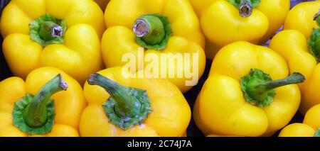Yellow bell peppers. Stock Photo