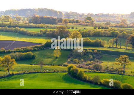 field landscape with hedges in spring, 27.04.2020, aerial view, Germany, Schleswig-Holstein Stock Photo