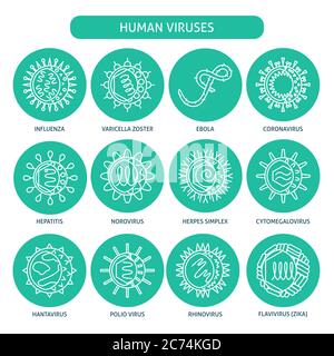 Human virus types icon set. Infection microorganism symbols collection in line style. Vector illustration. Stock Vector