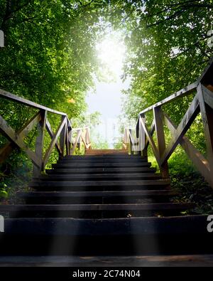 path, road from darkness to light, blue sky, a wooden ladder among trees, summer Stock Photo