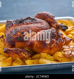 Baked whole chicken in blue casserole on dark blue table, roasted meat with potatoes. Side view, close up. Stock Photo