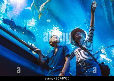 Mother and son walking in indoor huge aquarium tunnel, enjoying underwater sea inhabitants, showing interest to each other. Stock Photo