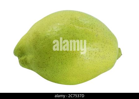 Chinese Pear fruit isolated on white background Stock Photo