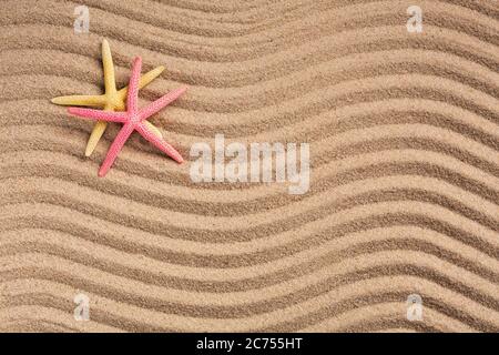 Two colored starfish on a summer beach on textured sand. Summer background. Photo for banner or advertisement. Top view. Stock Photo