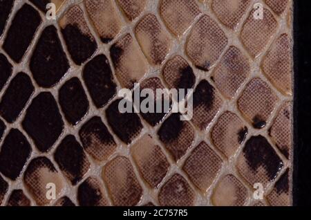 Artificial Reptil Snake Skin Seamless Pattern Texture Stock Photo