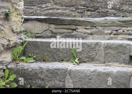 medieval Monreal: old stairway