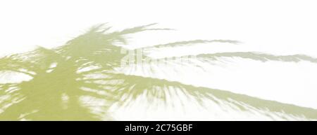 Palm leaf shadows on a white sand on tropical beach. Trendy holiday concept. Selective focus. Stock Photo