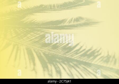 Palm leaf shadows on a white sand on tropical beach. Trendy holiday concept. Selective focus. Yellow toned. Stock Photo