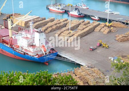 Bluff Hill Walking Track look down Napier port on sunny day. Stock Photo