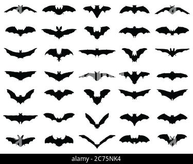 Black silhouettes of bats on a white background Stock Photo - Alamy