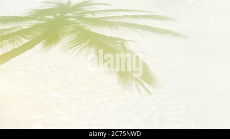 Palm leaf shadows on a white sand on tropical beach. Trendy holiday concept. Selective focus. Stock Photo