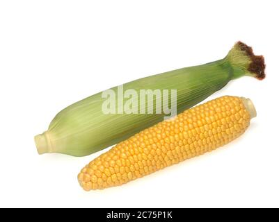 Two ears of corn isolated on white background Stock Photo