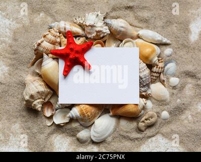 Many shells and red starfish are lying on the sand. Blank white blank with place for text. Top view. Stock Photo