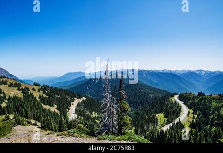 landscape in the mountains of Olympic Peninsula National Park, Washington Stock Photo