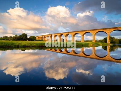Arthington Viaduct is reflected in the River Wharfe on a beautiful, calm summer evening during the golden hour as cows graze by the river. Stock Photo