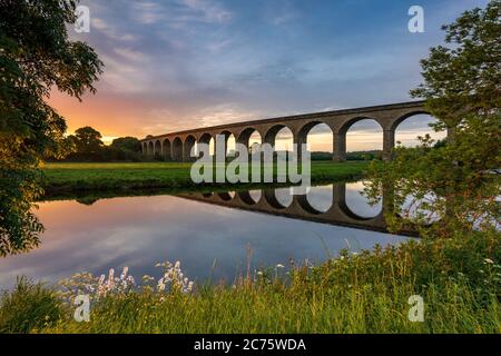 Arthington Viaduct is framed by the banks of the River Wharfe during a peaceful summer sunrise, the arches reflected in the slowly flowing water. Stock Photo