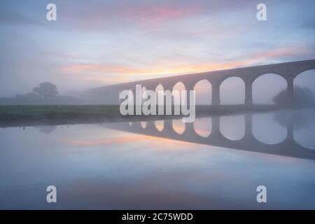 The outline of Arthington Viaduct is visible in thick late autumn fog, reflected in the River Wharfe during a beautiful sunrise. Stock Photo