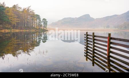 A calm, peaceful autumn morning at Blea Tarn in the English Lake District with perfect mirror reflections forming on the still surface of the water. Stock Photo