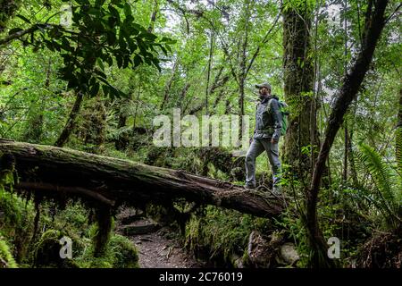 Tourist standing on a fallen tree on a trail in the mountains of chilean patagonia Stock Photo