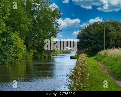 Two bridges on a quiet, rural section of the Leeds to Liverpool Canal in Lancashire, UK. Taken on a sunny day with blue sky and white clouds in summer Stock Photo