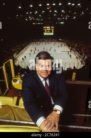 L.A. Kings owner Bruce McNall overlooking the ice at the Forum in Inglewood, CA Stock Photo