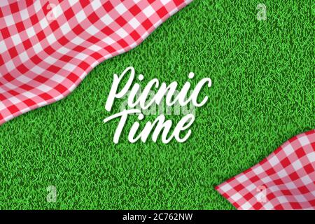 Picnic time hand drawn calligraphy lettering. Horizontal spring or summer background with tablecloth on green grass. Vector poster or banner design te Stock Vector