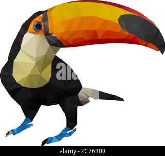 Vector illustration of toucan, Low Poly, Polygonal illustration. Stock Vector