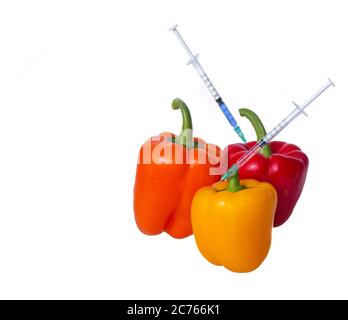 Genetically modified vegetables. GMO food concept. Syringes are stuck in vegetables with chemical additives. Injections into fruits and vegetables. Is Stock Photo