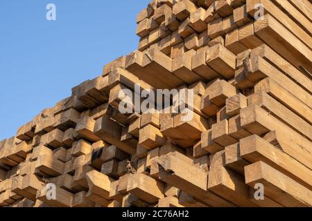 Wooden boards, lumber, industrial wood, timber. Pine wood timber stack of natural rough wooden boards on building site. Industrial timber building Stock Photo