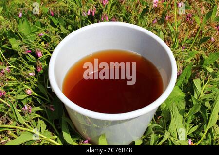 The picture shows liquid manure from comfrey in a comfrey field Stock Photo