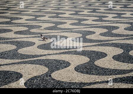 Typical portuguese cobblestone hand-made mosaic pavement and a pigeon, in Rossio Square or Pedro IV Square (Praça de D. Pedro IV), Lisbon, Portugal. Stock Photo