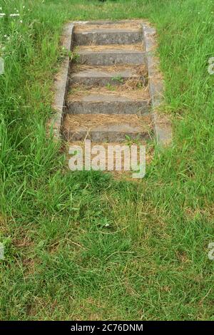 Concrete stairs on the embankment overgrown with grass. Summer. Stock Photo
