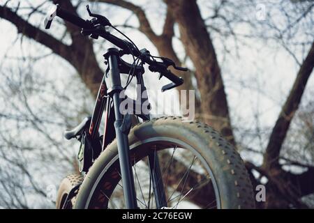 Close-up of bicycle with large wheels in countryside. Mountain bike stands on ground in sunny weather. Stock Photo