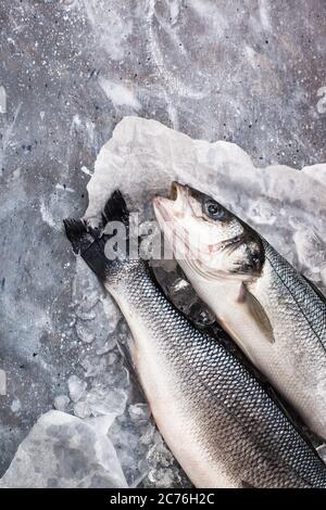 Raw fresh sea bream fish, top view, gray background Stock Photo