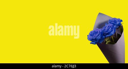 Bouquet of red roses on a classic yellow background Stock Photo