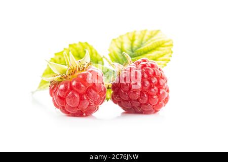 Ripe red raspberries isolated on white background. Stock Photo