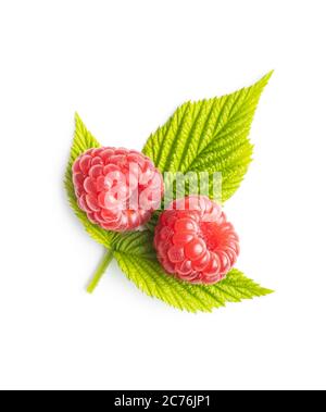 Ripe red raspberries and green leaves isolated on white background. Stock Photo
