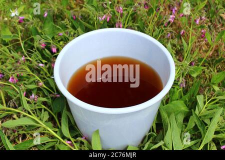 The picture shows liquid manure from comfrey in a comfrey field Stock Photo