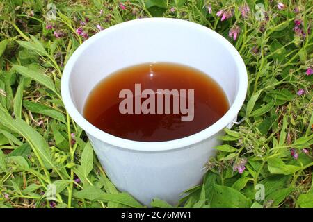 The picture shows liquid manure from comfrey in a comfrey field Stock Photo