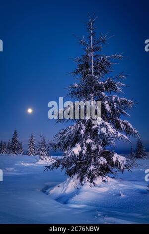 Moon rise in the night scene during winter  in Marisel, Cluj County, Transylvania Region, Romania Stock Photo