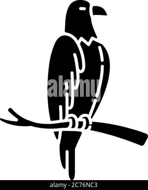 Eagle black glyph icon. Dangerous bird of prey, flying animal, winged predator. American national silhouette symbol on white space. Hawk, falcon sitti Stock Vector