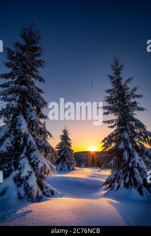 Morning in Carpathians mountain in Transylvania,Romania Stock Photo - Alamy