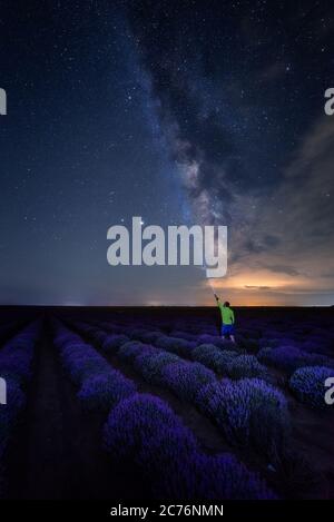 The Milky Way Galaxy galactic core seen in a lavender field in Romania with a person holding a flashlight pointing towards the Milky Way Stock Photo